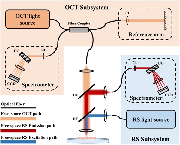 FIGURE 3