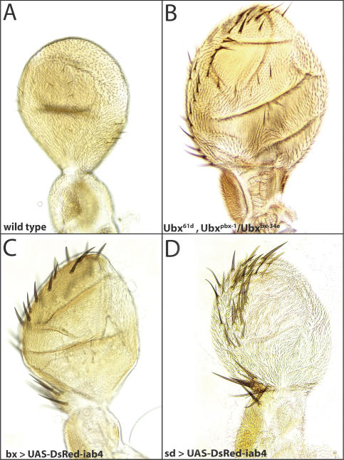 Figure 4.