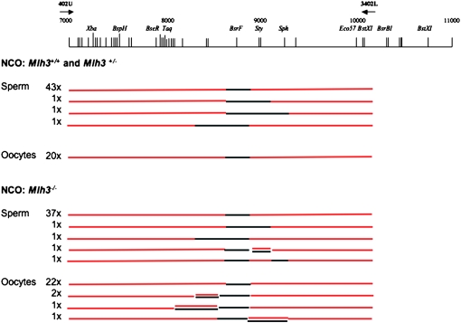 Figure 4.—