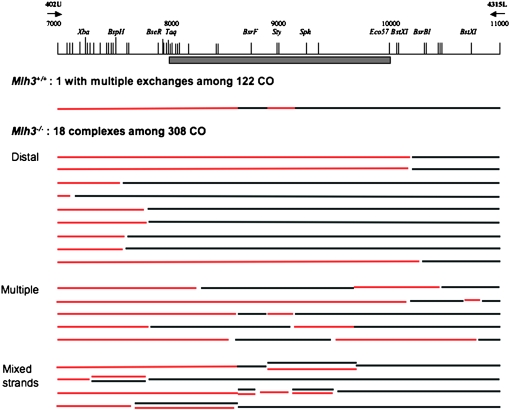 Figure 3.—