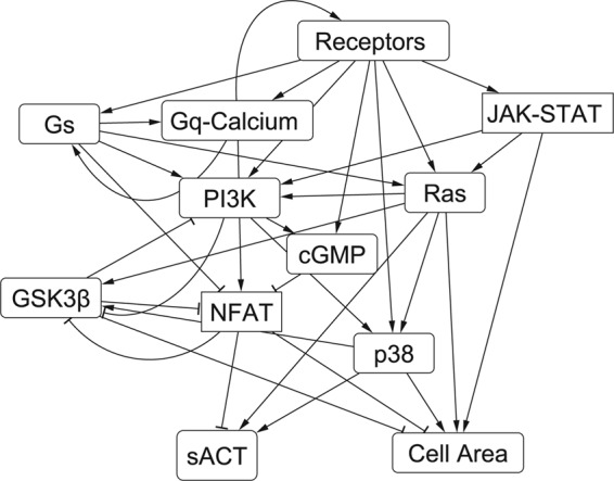 FIGURE 5.