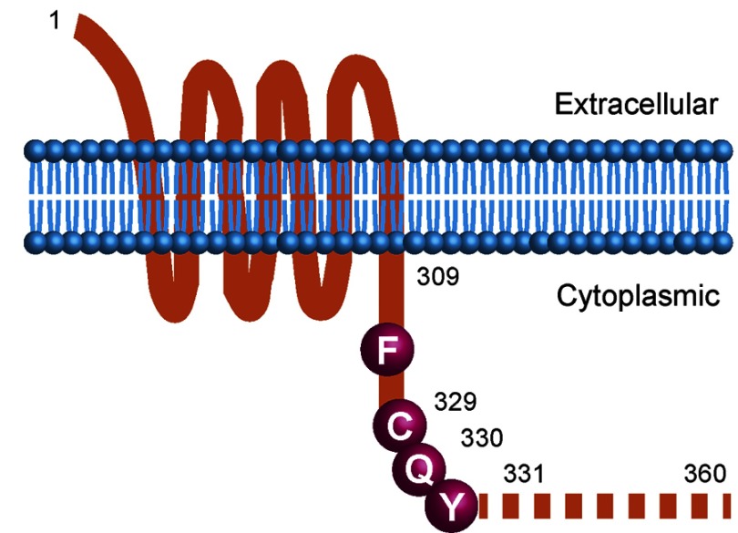 graphic file with name jem.21113insight5fig2.jpg