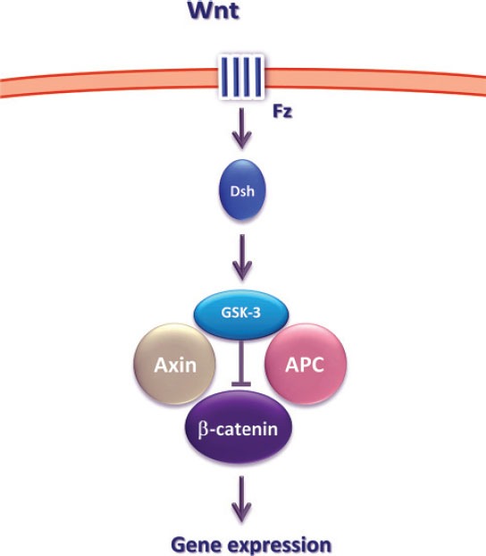 FIGURE 1