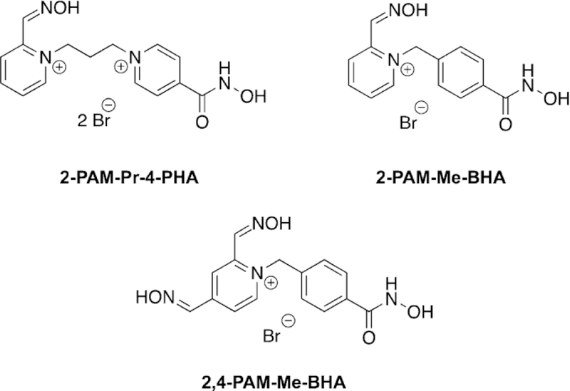 Figure 19