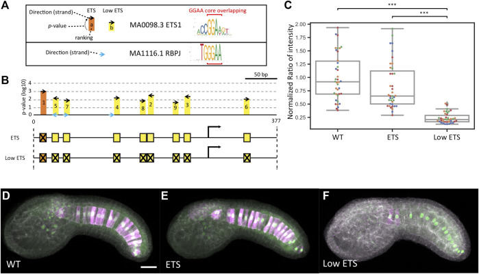 FIGURE 4