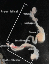 Figure 1—figure supplement 2.