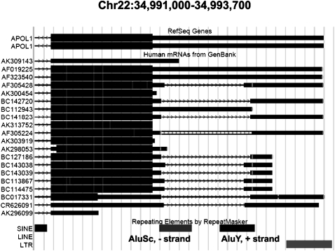 FIGURE 1.