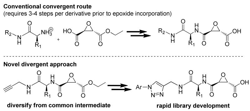 Scheme 2