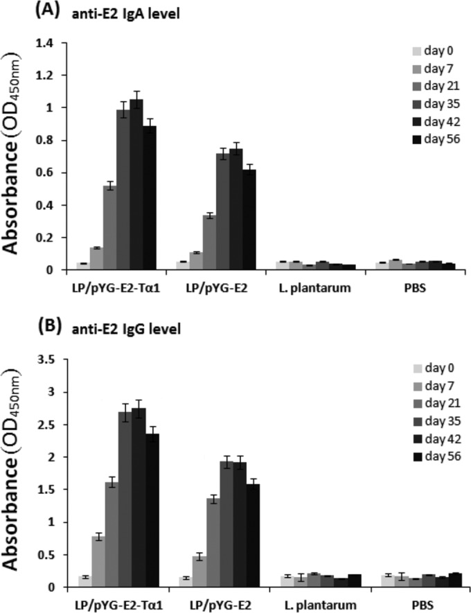 FIG 3