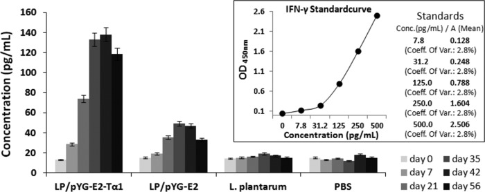 FIG 6