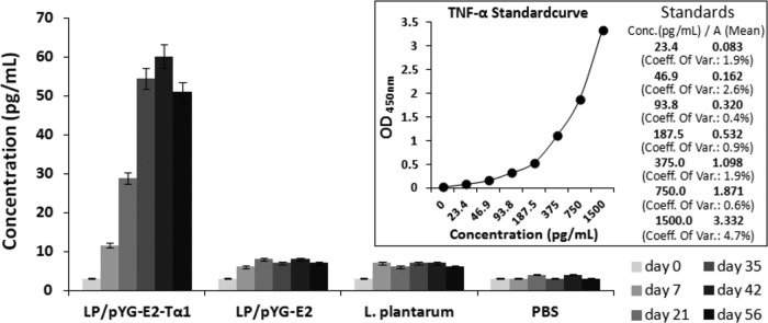 FIG 8