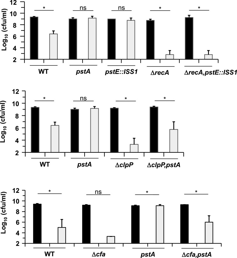 Mechanisms of Acetoin Toxicity and Adaptive Responses in an Acetoin ...