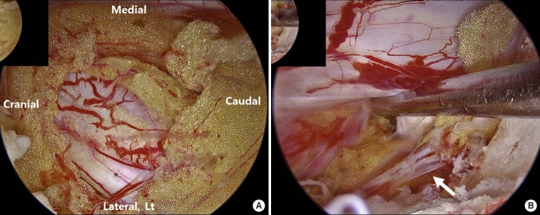 Fig. 9.