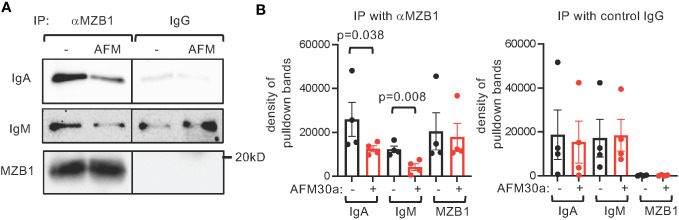 Figure 7