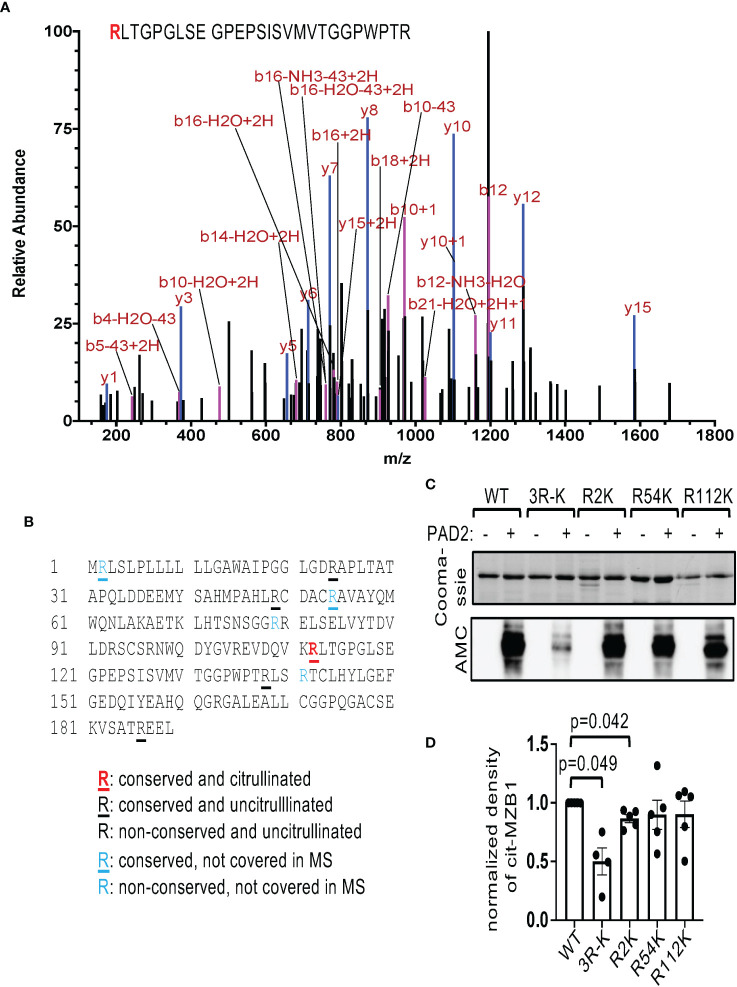 Figure 3