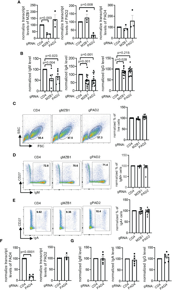 Figure 6