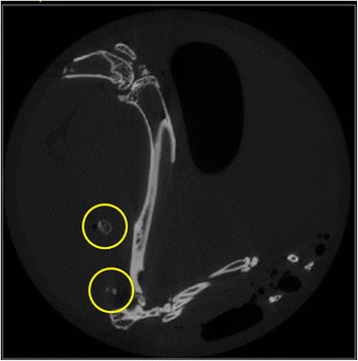 Fig. 2