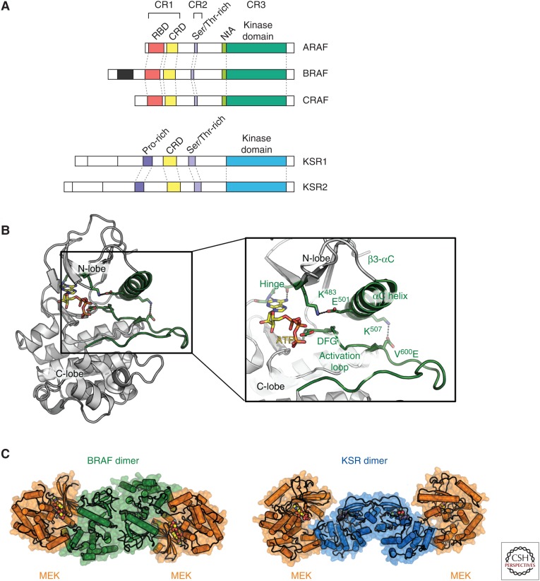 Figure 2.