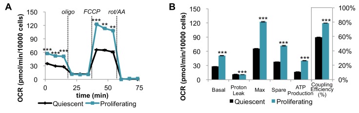 Figure 1—figure supplement 1.