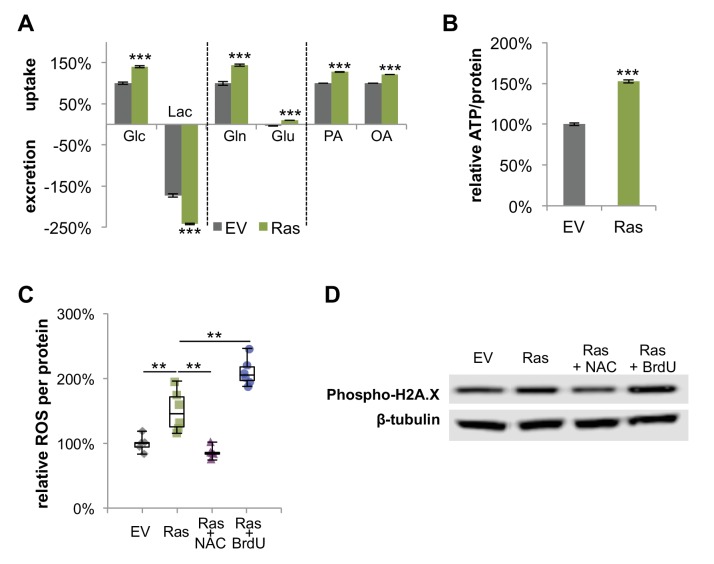 Figure 4—figure supplement 4.