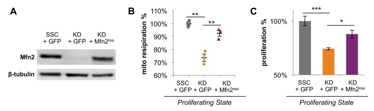 Figure 3—figure supplement 1.