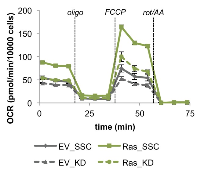 Figure 4—figure supplement 3.