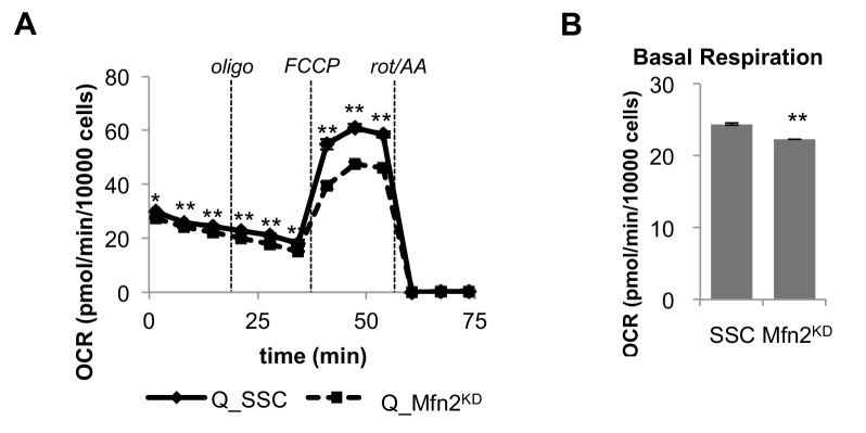 Figure 2—figure supplement 4.