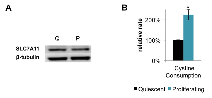 Figure 1—figure supplement 2.