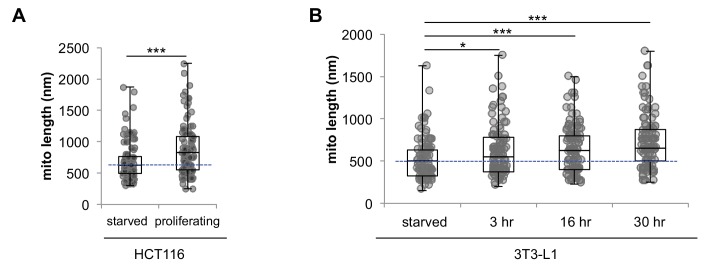 Figure 2—figure supplement 5.