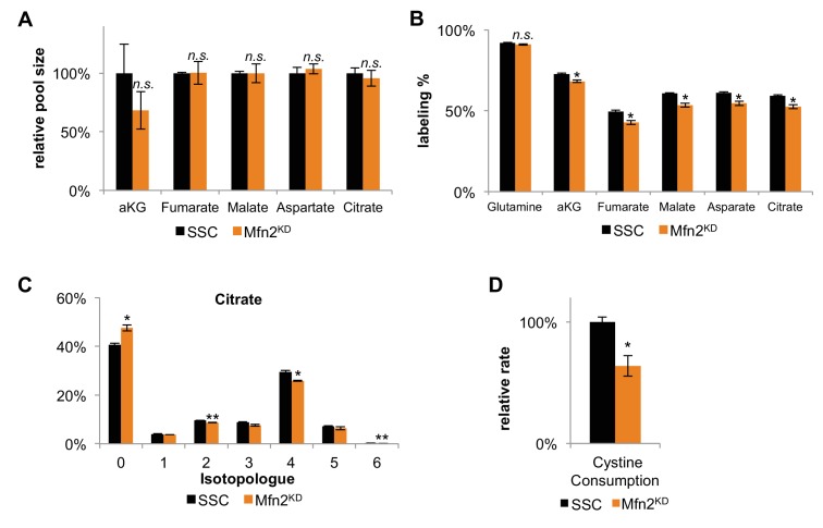 Figure 3—figure supplement 3.