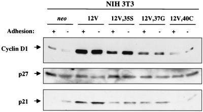 FIG. 8