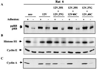 FIG. 7