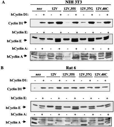 FIG. 9