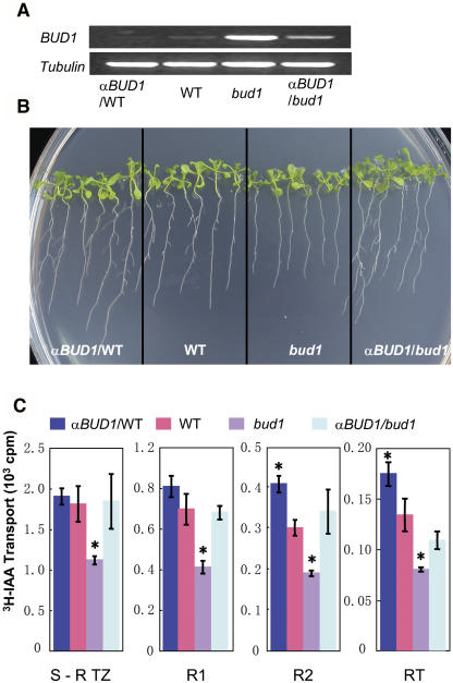 Figure 6.