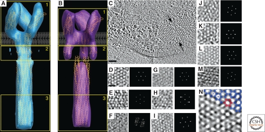 Figure 6.