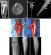 Fig. 7