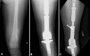 Fig. 6