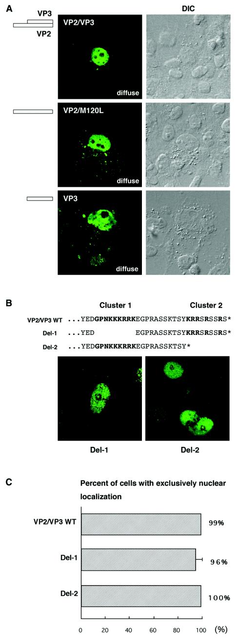 FIG.6.