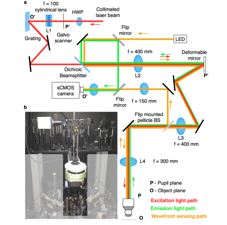 Fig. 2