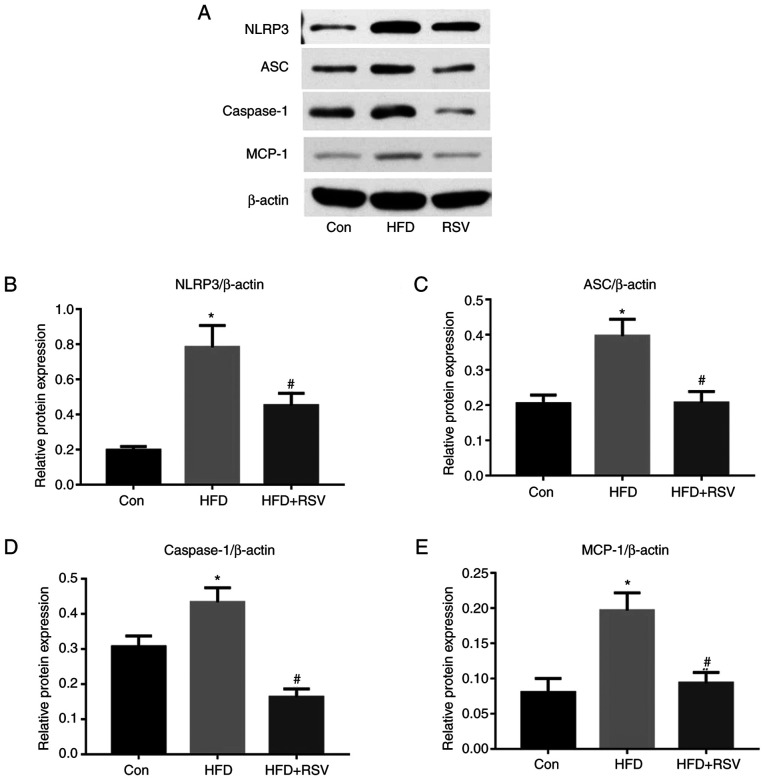 Figure 6.