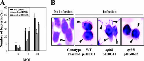 FIG. 2.