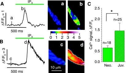 Fig. 4.