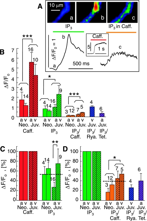 Fig. 6.