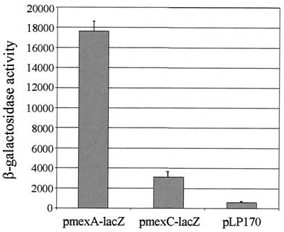 FIG. 1