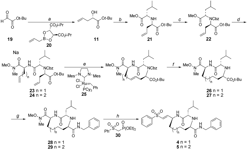 Scheme 2