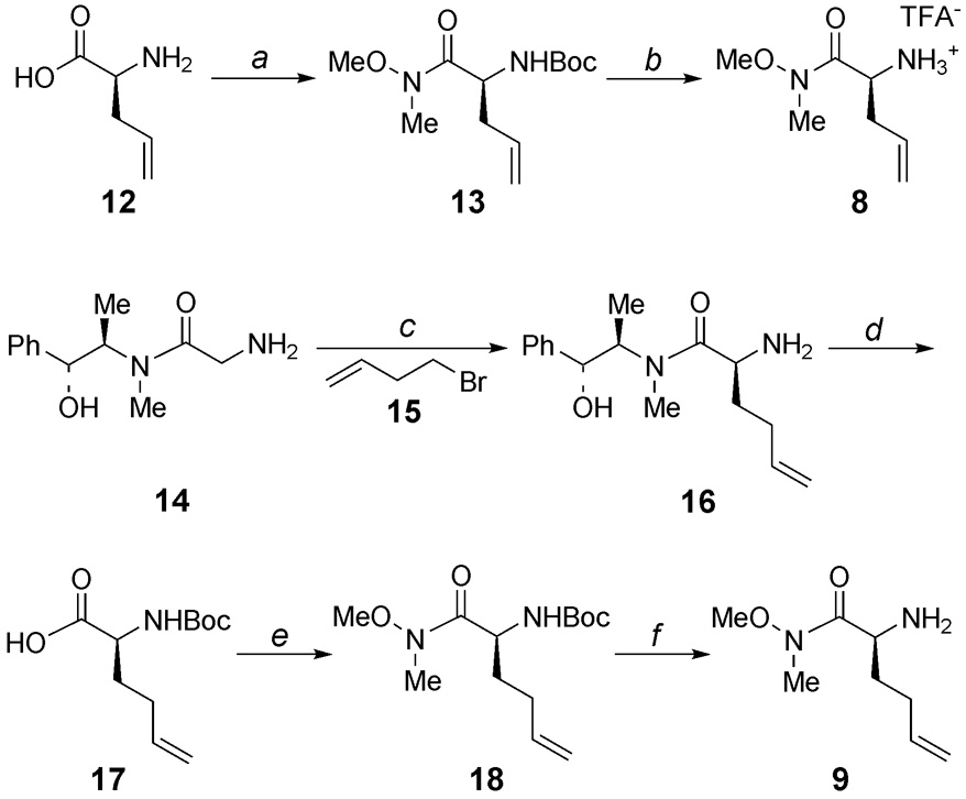 Scheme 1