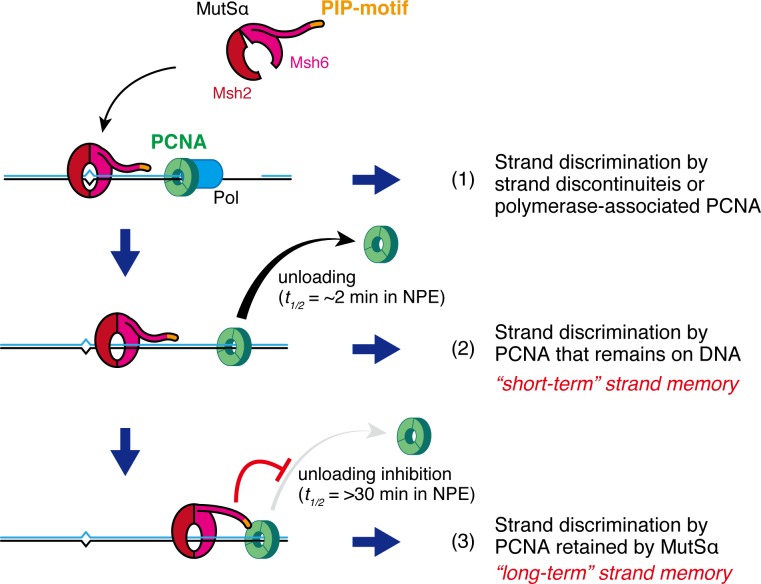 Figure 10.