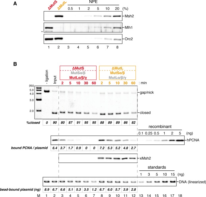 Figure 6—figure supplement 2.