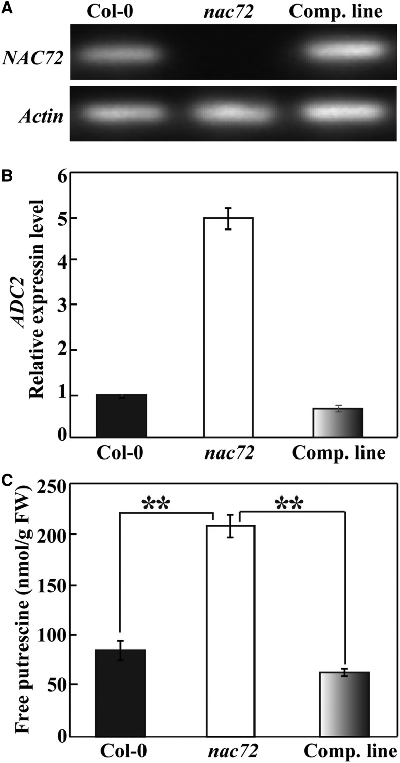 Figure 5.