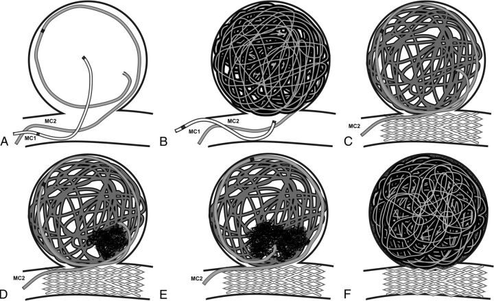 Fig 1.